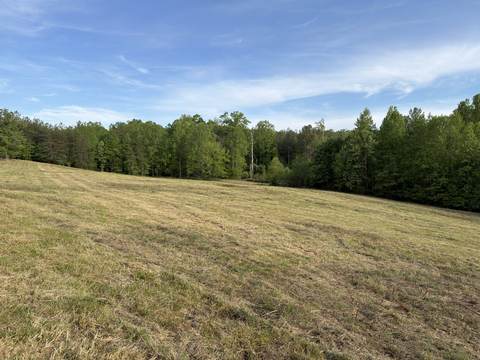 Cleared open field after land management work