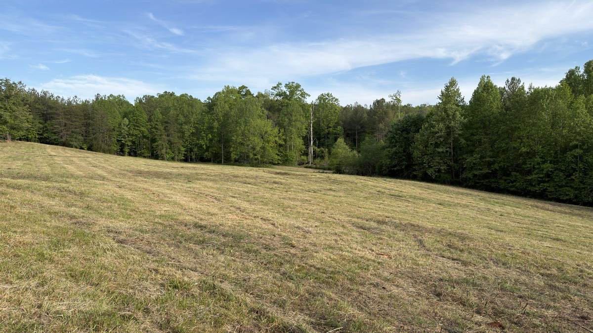 Open cleared field after land clearing work