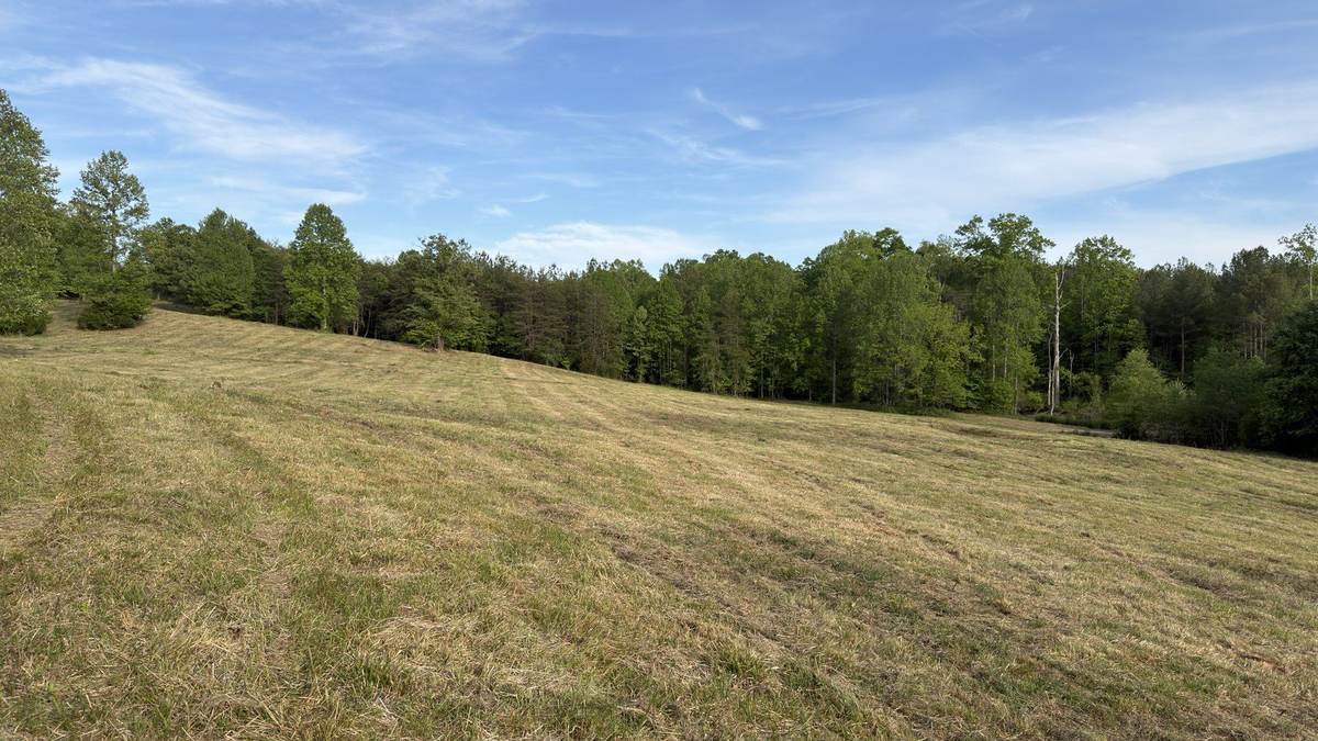 Reclaimed pasture after brush and field cleanup