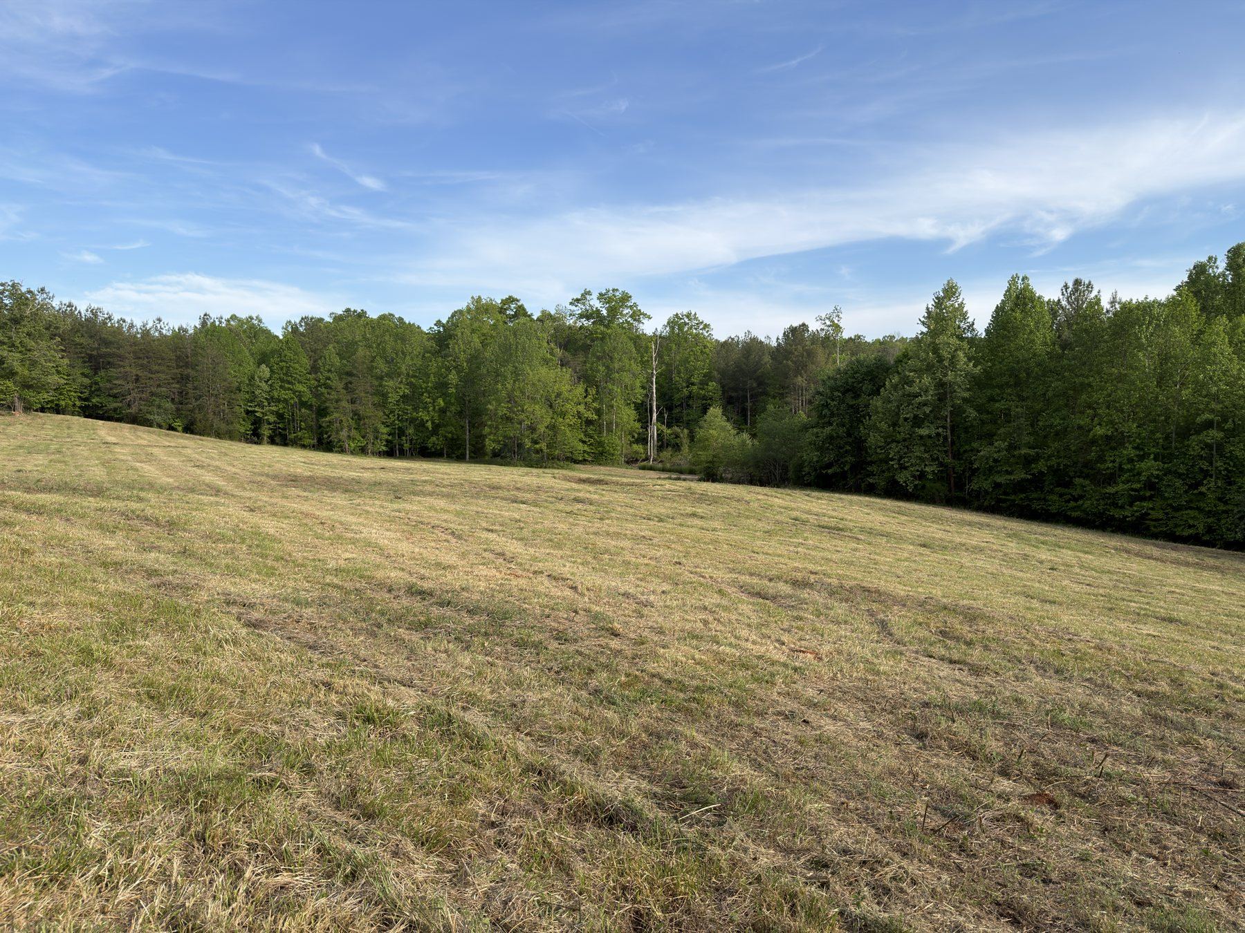 Cleared open field after land management work