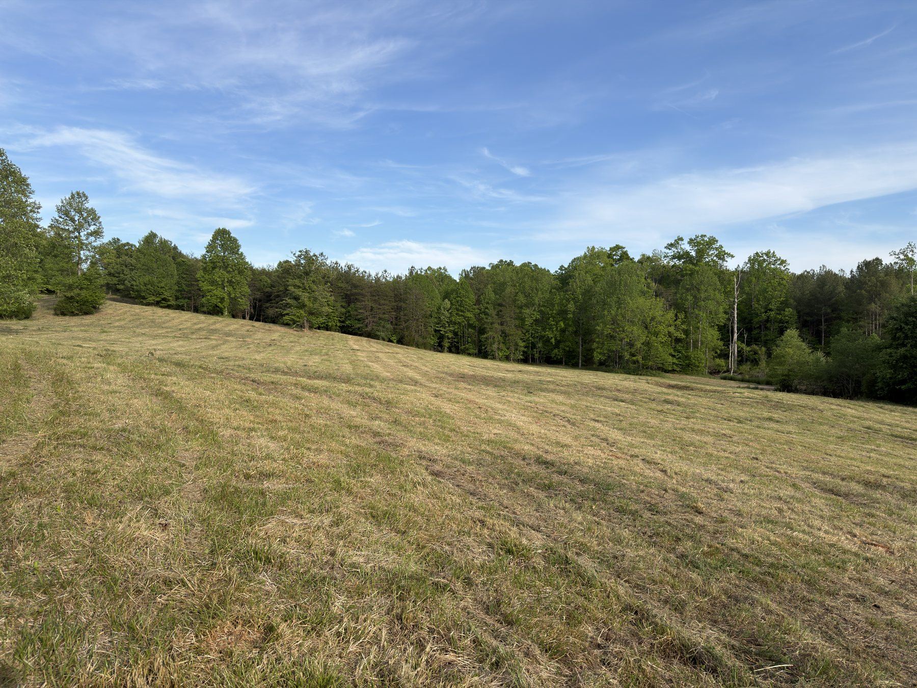 Reclaimed pasture after brush clearing