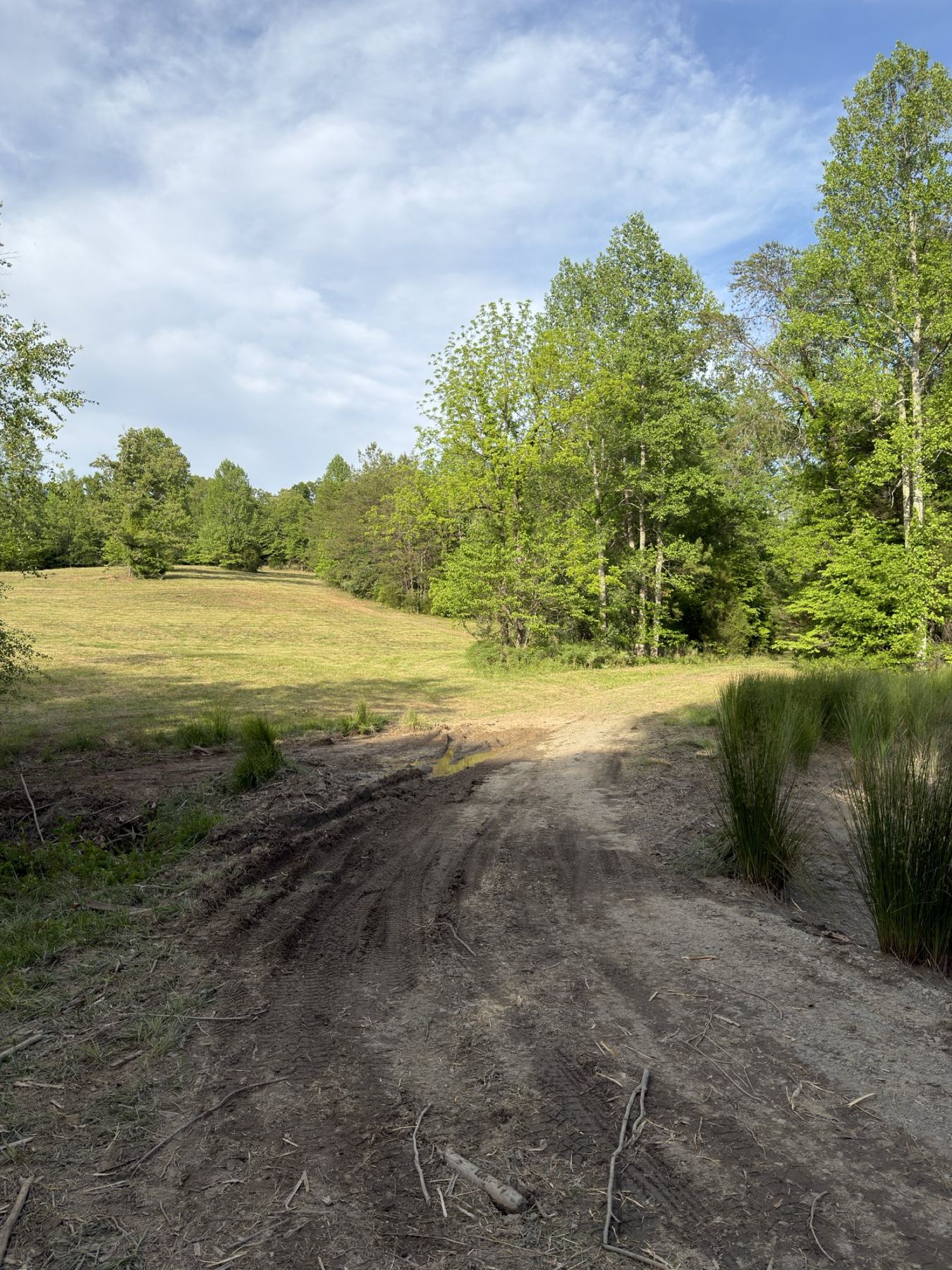 Cleared pond access after land clearing